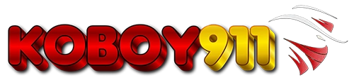 LOGO KOBOY911